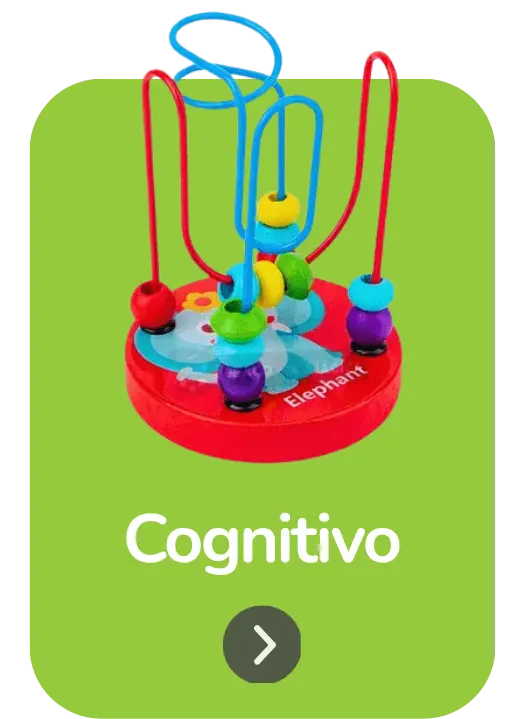 Coleção